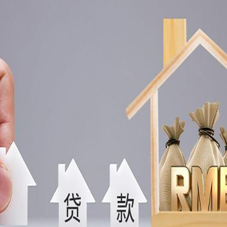 雨山贷款中介公司新渝启服怎么样
